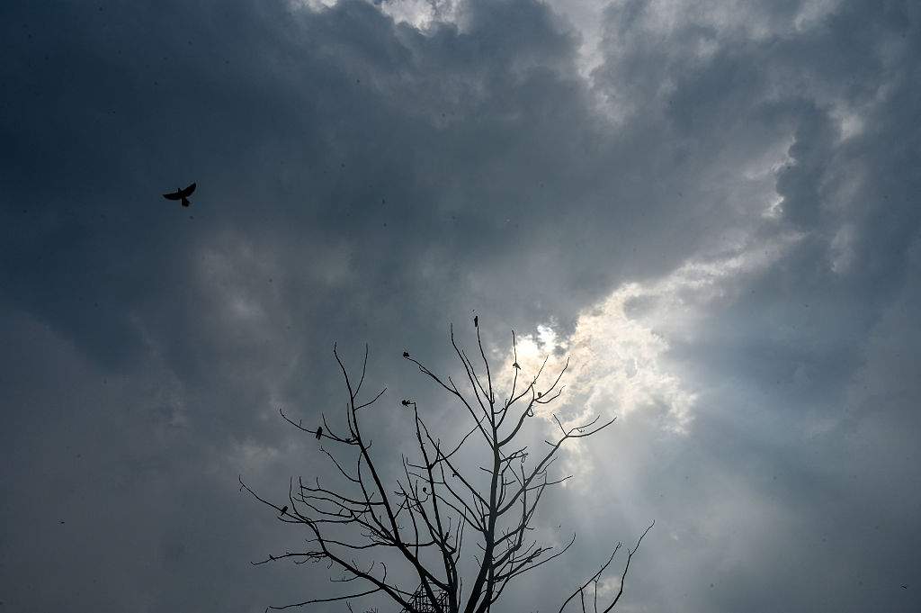 news24-|-thursday’s-weather:-localised-flooding,-storms-to-hit-parts-of-sa,-warm-elsewhere