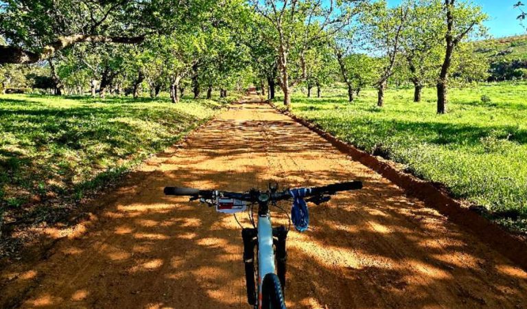 news24-|-getting-outdoors:-old-mac-daddy’s-caravans,-kayaks-and-‘beach’-is-this-week’s-pick