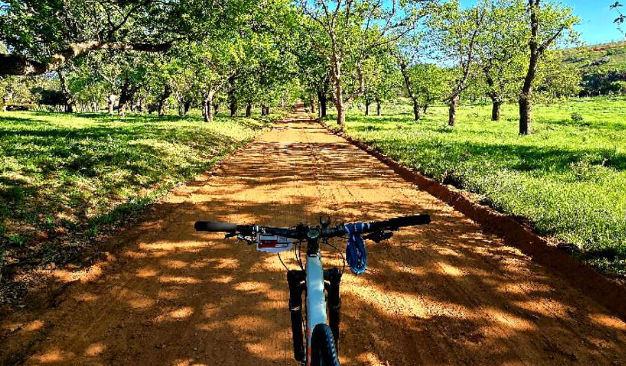 news24-|-getting-outdoors:-old-mac-daddy’s-caravans,-kayaks-and-‘beach’-is-this-week’s-pick